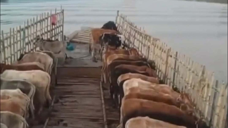 সুনামগঞ্জের জয়নগর এলাকায় সুরমা নদীতে পুলিশের অভিযানে ভারতীয় 